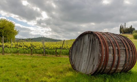 Wine barrel in a field