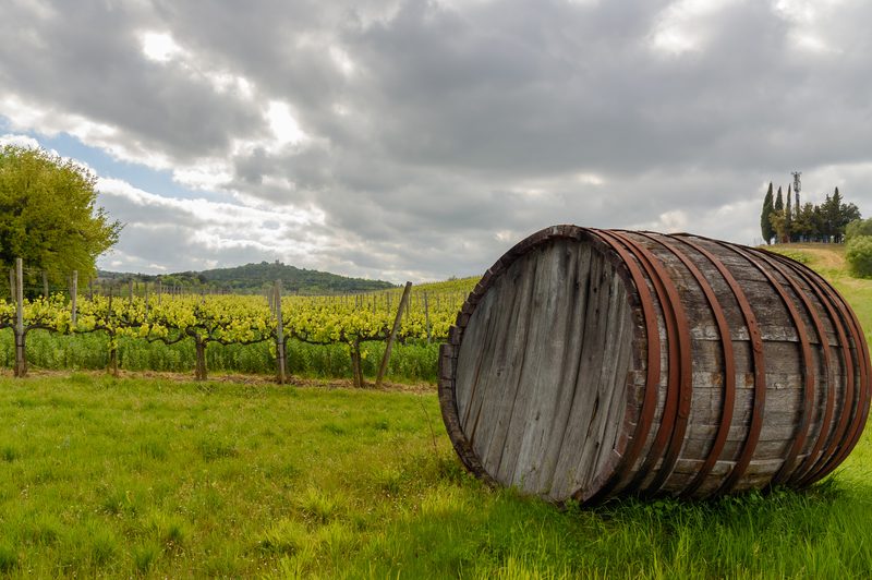wine barrel in field