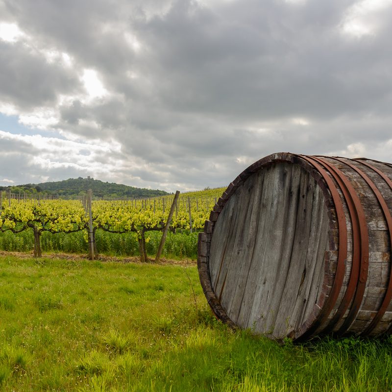 Wine barrel in a field