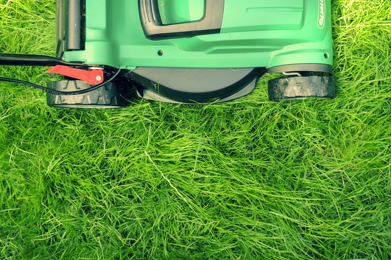 person mowing lawn with long grass