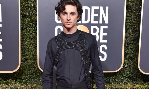 Timothee Chalamet Best Dressed