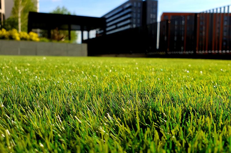well groomed lawn