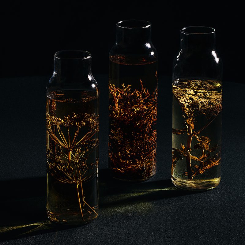 Aquavit-infusions