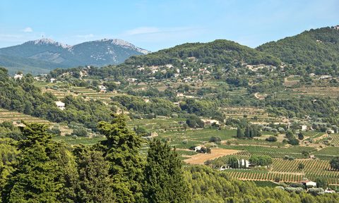 Bandol