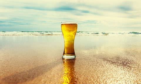 Best Hawaiian Beers