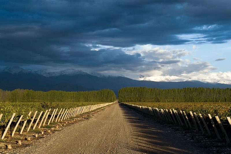 Bodega Salentein