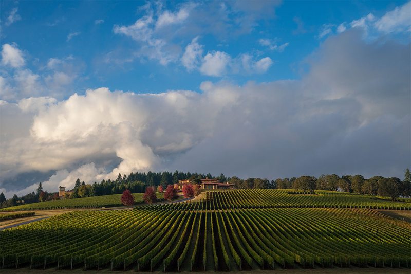 Domaine Serene