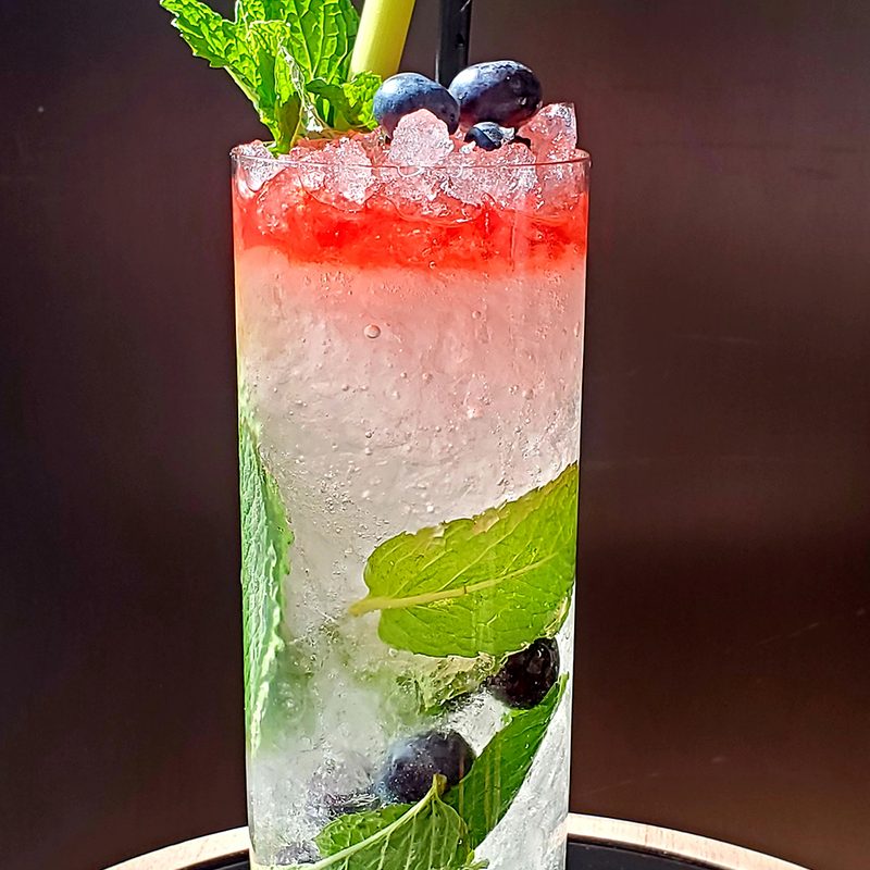Rhu-berry mojito