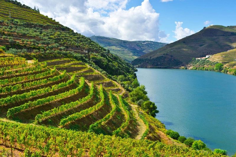 The Douro
