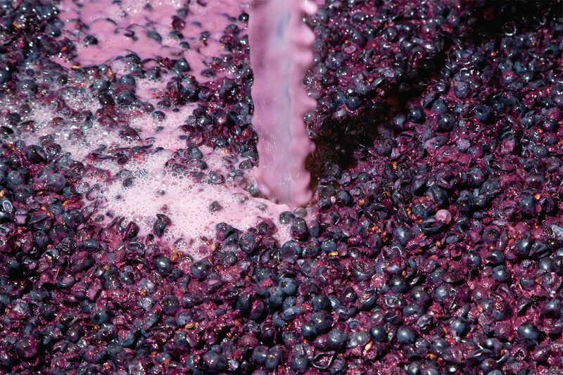 carbonic maceration