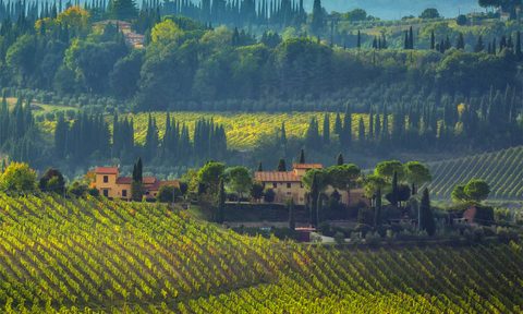 Chianti