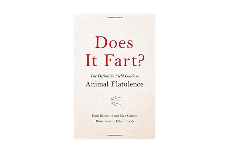 Does It Fart