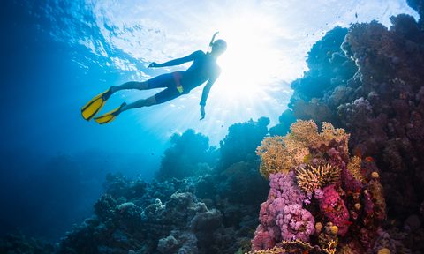 Male freediver