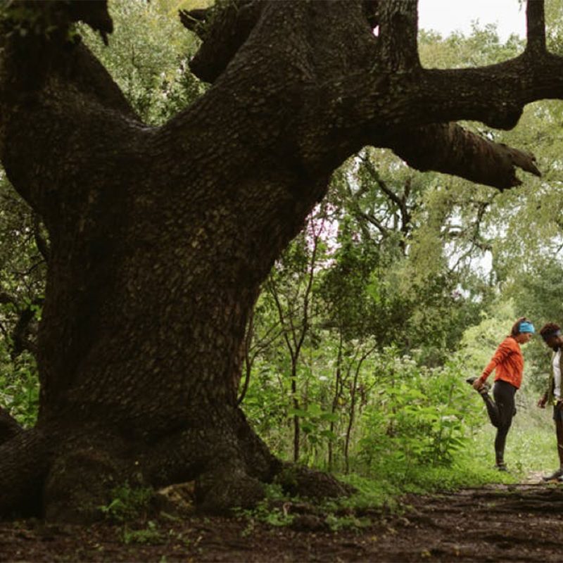 Two trail runners warming up on a trail near a large tree.