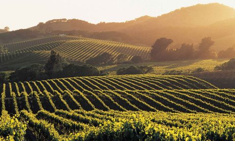 what is armagnac 2
