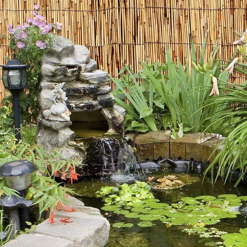A beautiful pond in a garden.