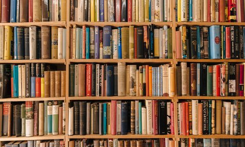 International Book Shelves