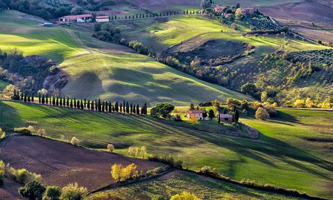 what is montepulciano italian red wine