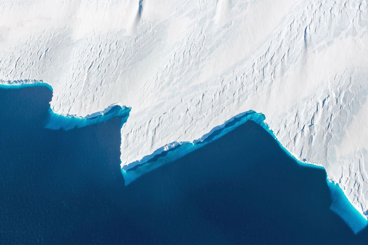 sightseeing day trip flight antarctica antarctic flights 2