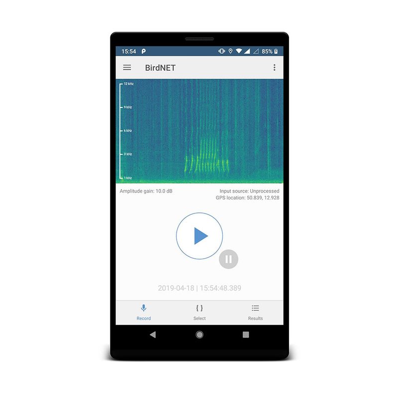 Screenshot of the free BirdNET nature app for identifying bird calls.