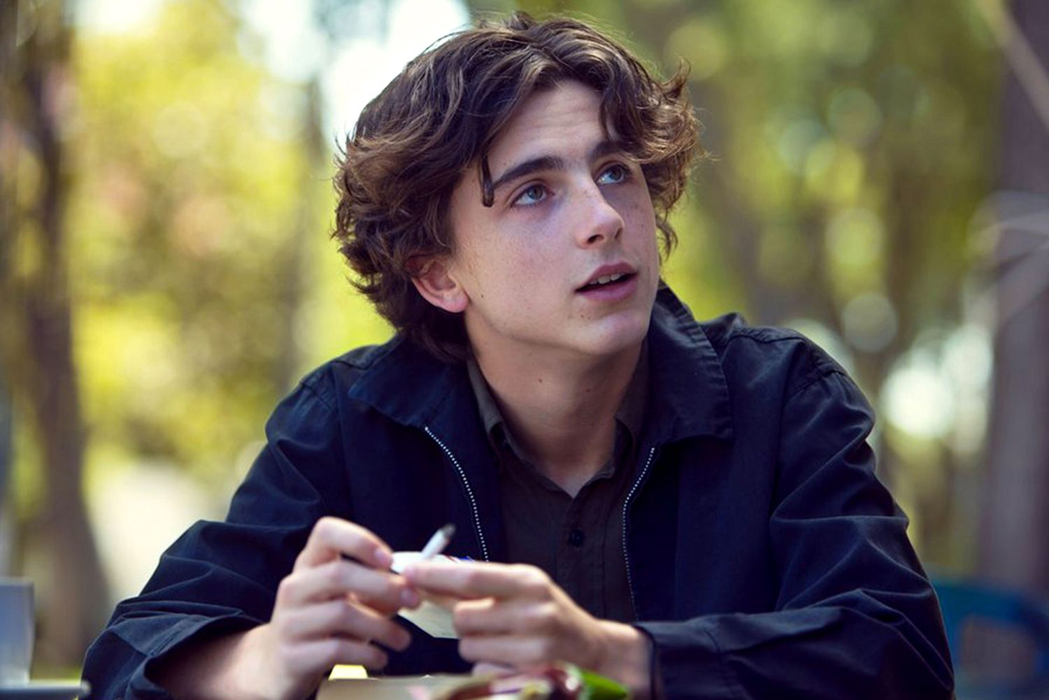 Timothee Chalamet in Lady Bird