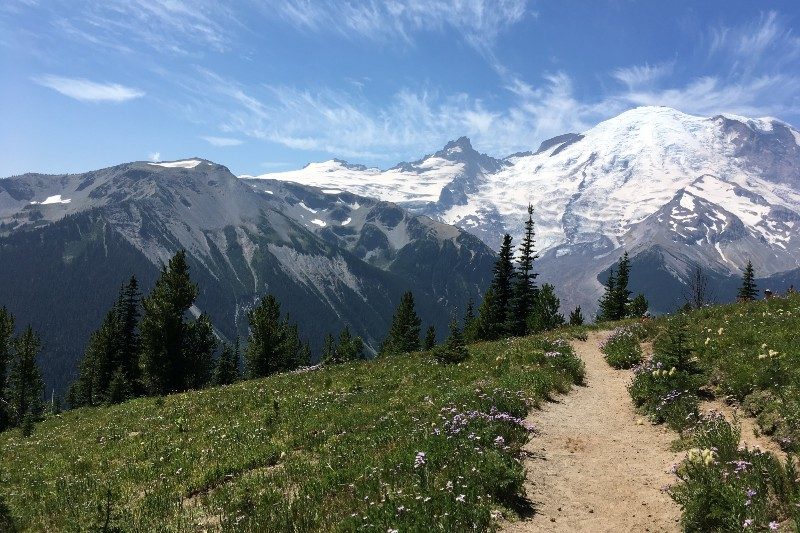 A scenic view of the Muir Snowfield Trail.
