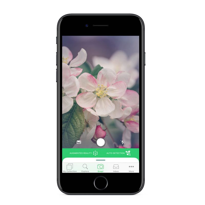 Screenshot of the free PlantSnap nature app for identifying plants.