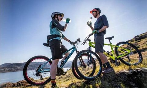 Schwinn mountain bikes