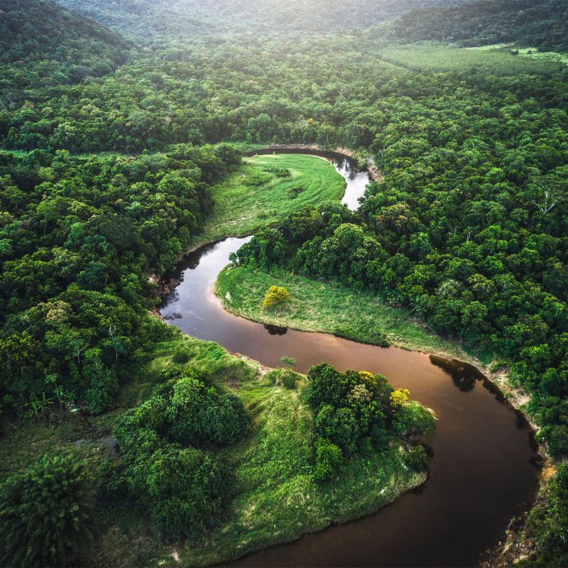 Aerial view of the Amazon river and forest.