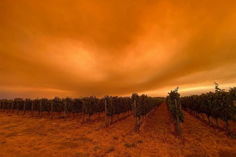 Alumbra Cellars