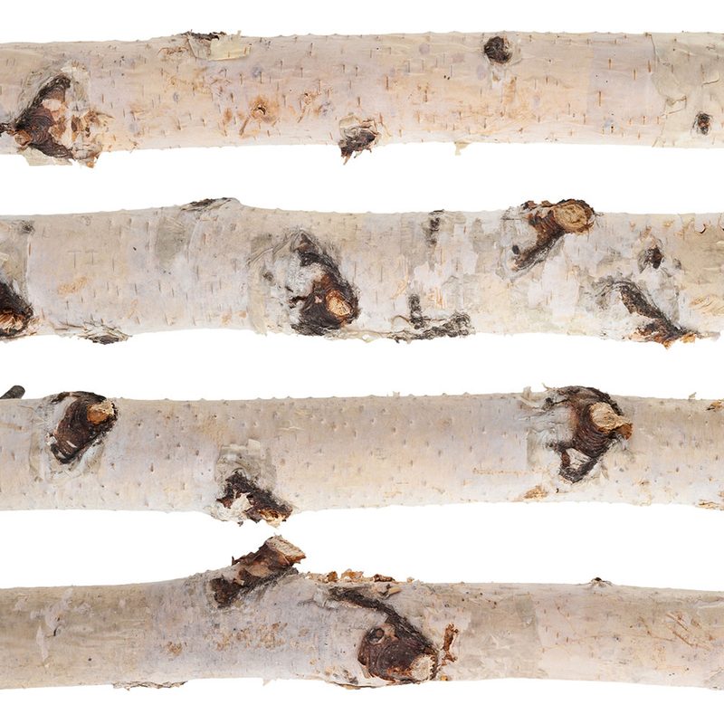 Birch logs