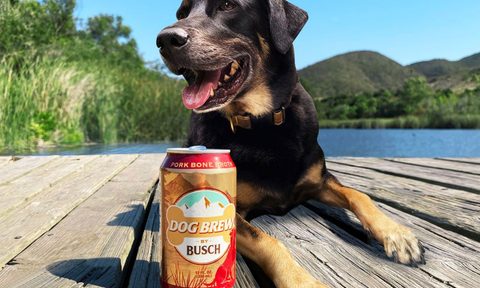 Busch Dog Brew