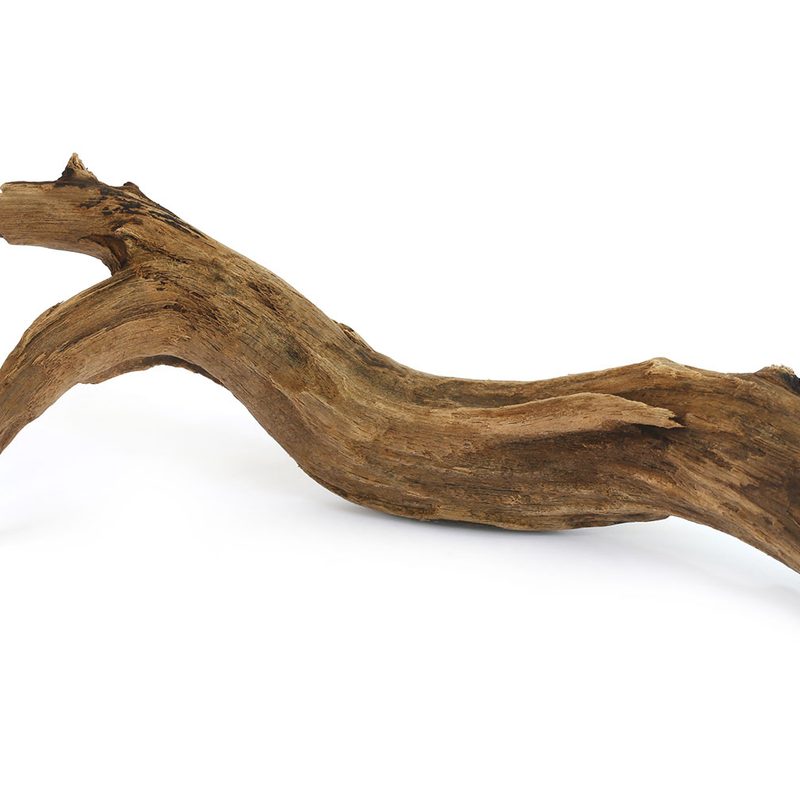 A piece of driftwood