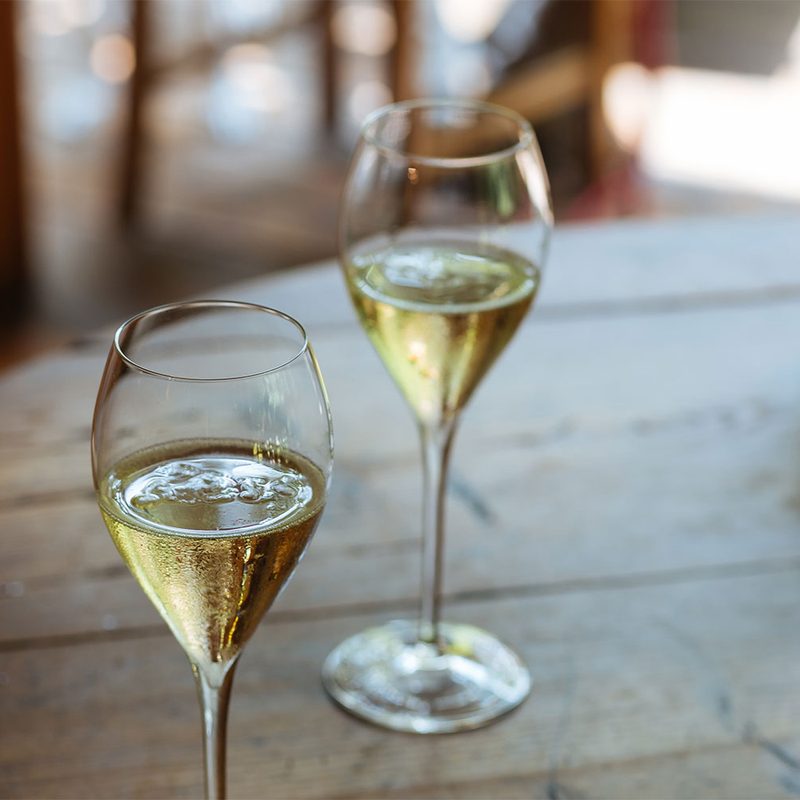 Some bubbly wine.