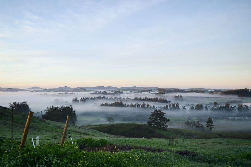 Karah Estate