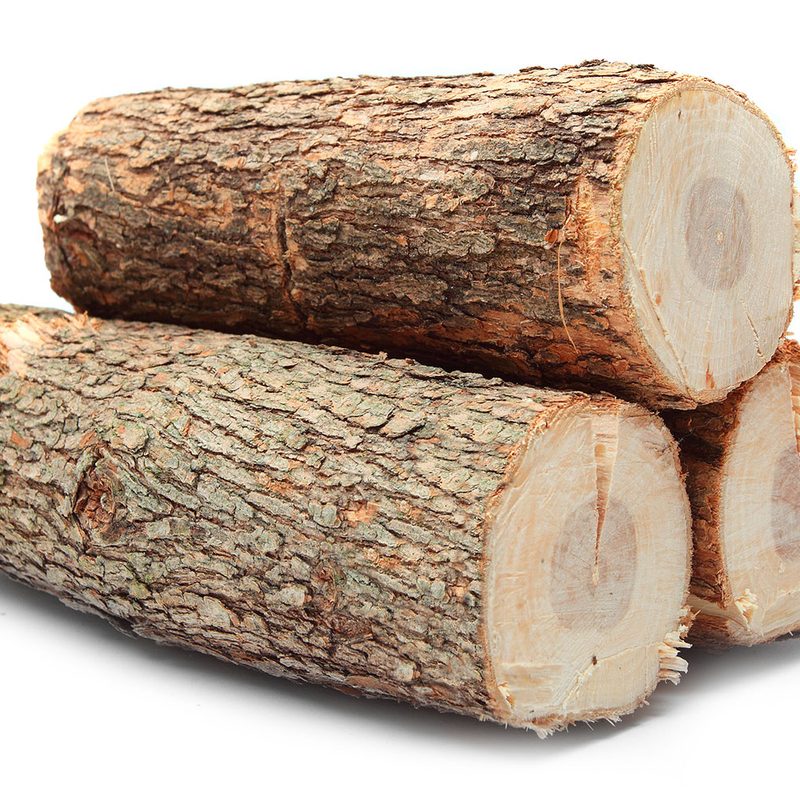 Oak logs