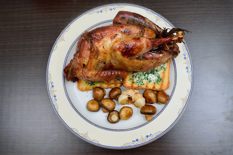 Pheasant