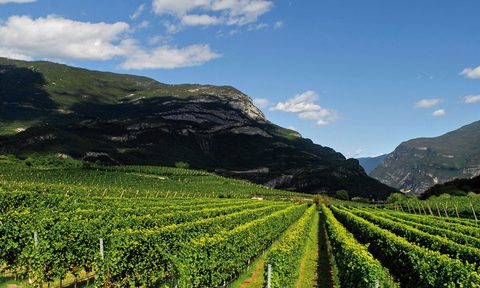 Trentodoc