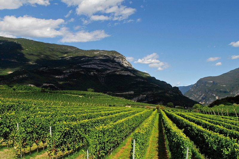 Trentodoc