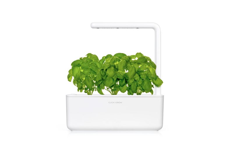 Click and grow plant.