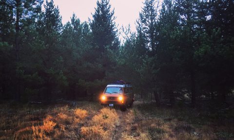 Black Forest Westfalia Campervan Rentals