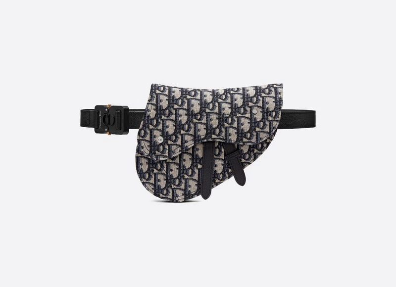 Dior Saddle Belt Pouch on a light grey backdrop.