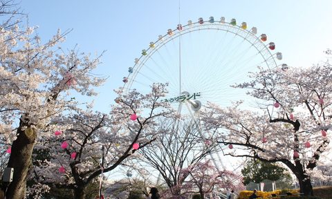 Ferris Wheel at Yomiuriland in Tokyo