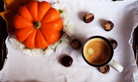 best pumpkin coffee beers