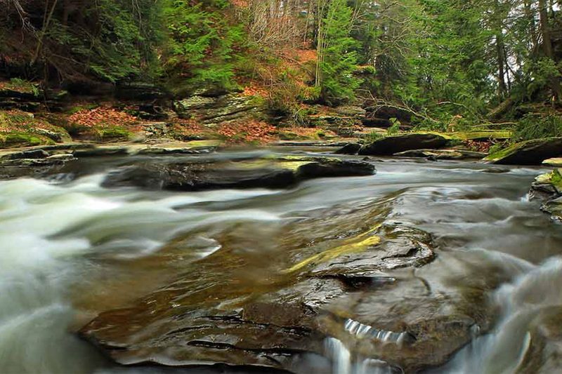 American Rivers