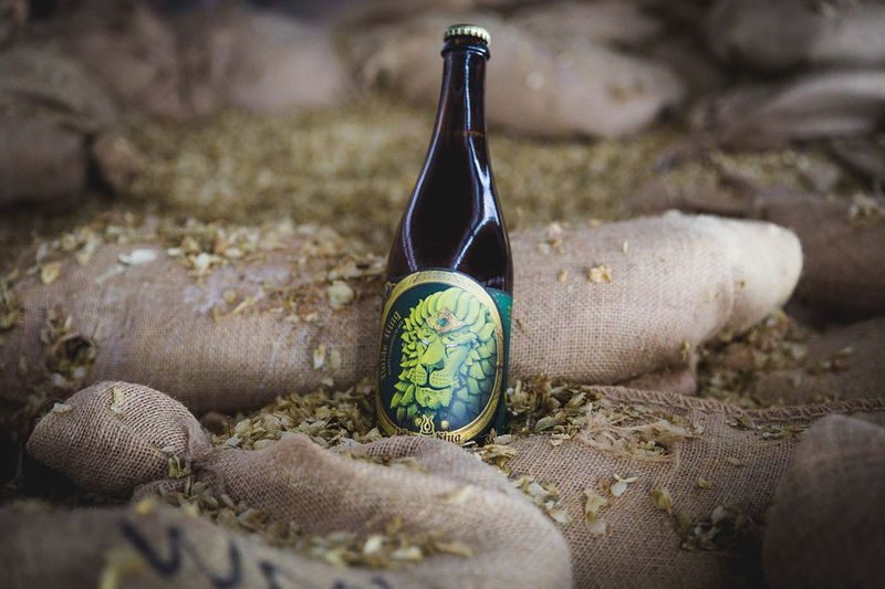 A bottle of Jester King Noble King Bottle displayed on sacks of herbs or leaves.