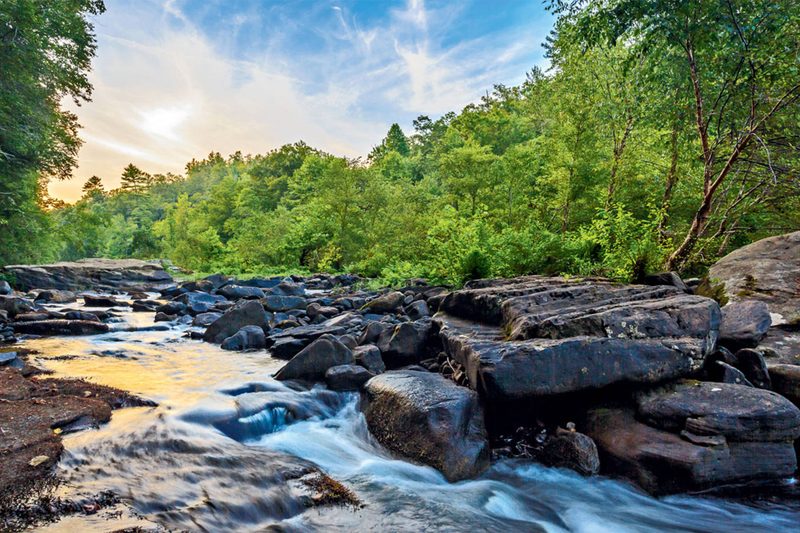 National Parks Conversation Association