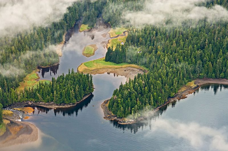 Sierra Club
