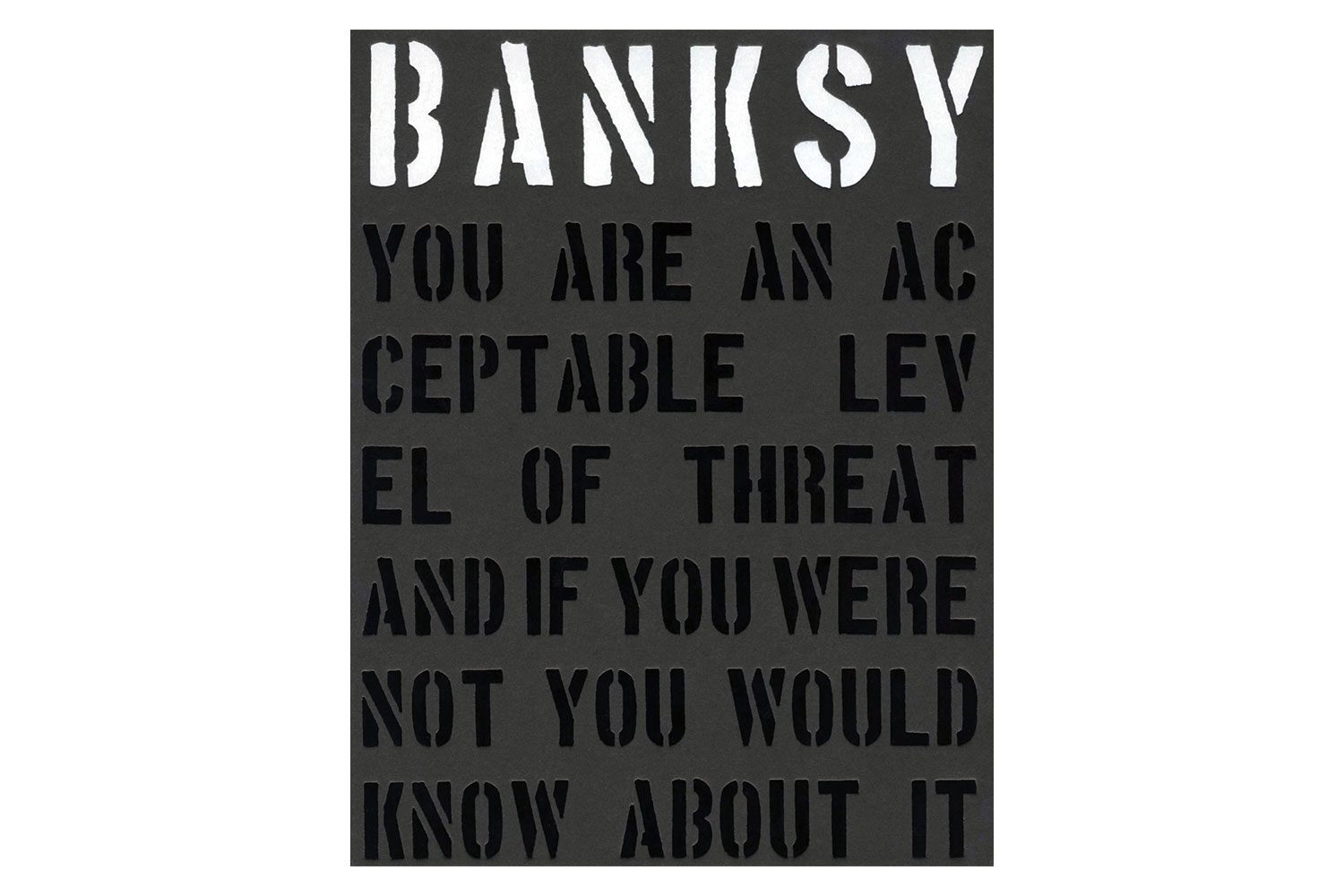Banksy You Are an Acceptable Level of Threat and If You Were Not You Would Know about It