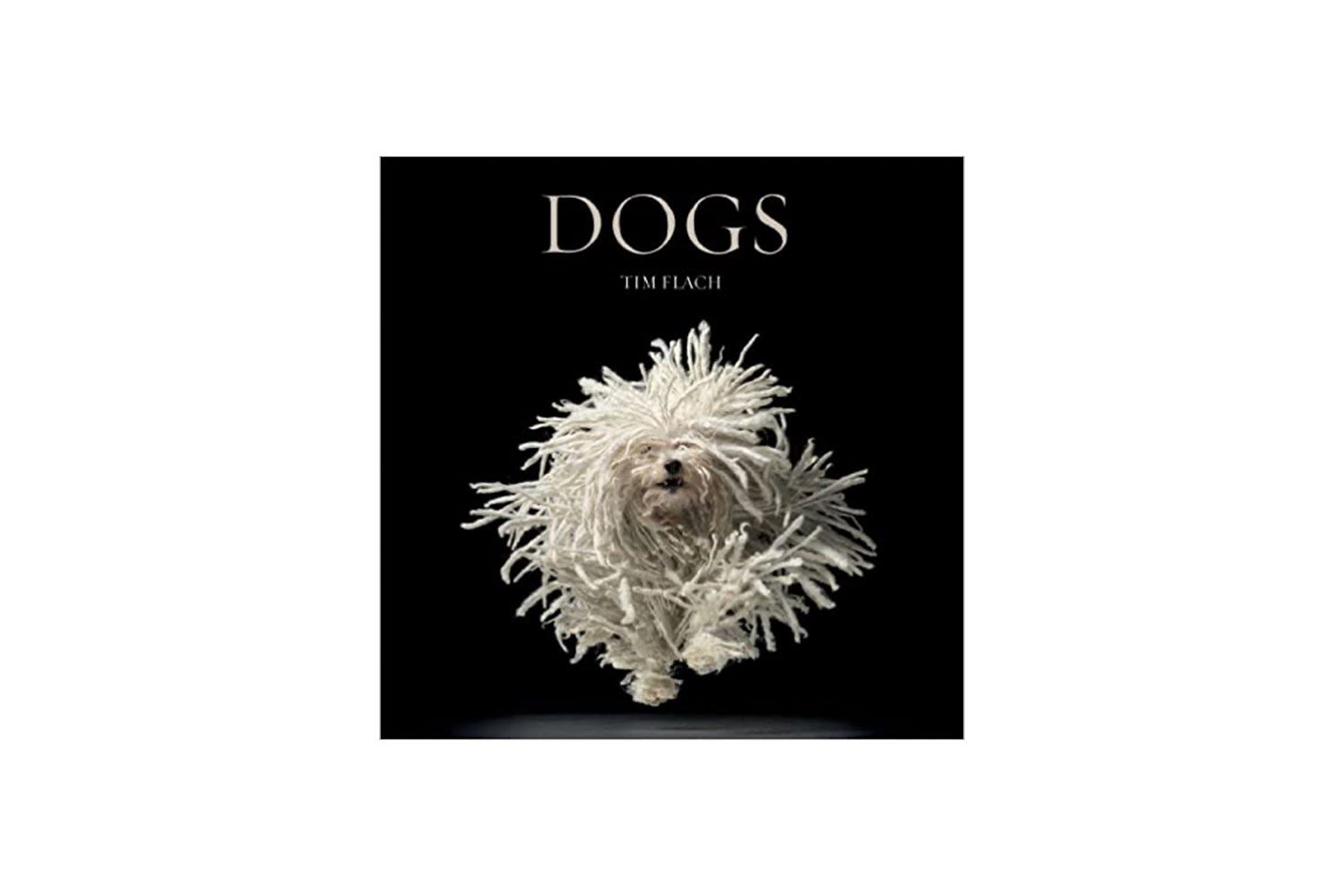 Dogs